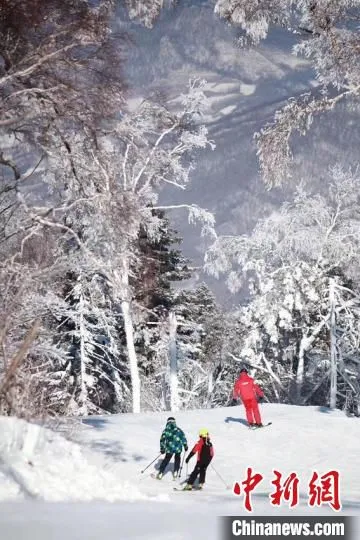 年轻人驰骋雪道 吉林市冰雪经济高质量发展试验区供图