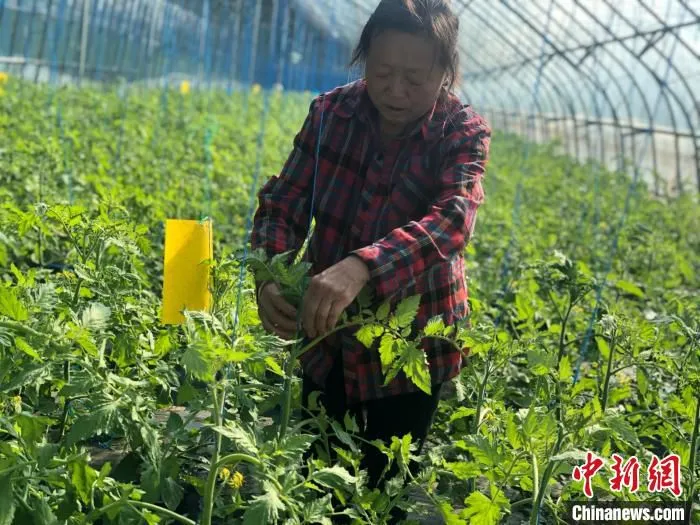 附近村民在产业园内上班。　刘林 摄
