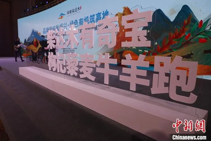 图为“神奇柴达木”海西农畜产品区域公用品牌口号正式发布。 中新社记者 孙睿 摄 　
