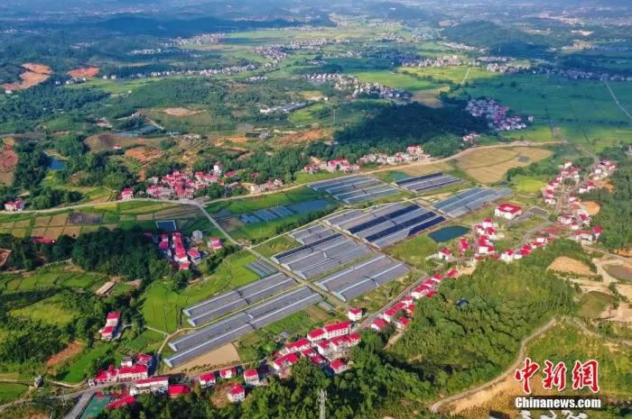 8月27日，航拍江西省萍乡市芦溪县银河镇紫溪村秀美乡村，一排排红顶楼房，错落有致，成为美丽乡村一道靓丽的风景线。紫溪村地处芦溪县银河镇中部，占地面积9.6平方公里，耕地面积3124亩，林地面积7000亩。自列为江西省定“十三五”贫困村以来，当地用三年时间打造出了乡村振兴示范区、社会治理创新区、田园综合体“两区一体”的紫溪样板，引领全村及周边村群众走上了产业脱贫、增收致富的道路。刘占昆 摄