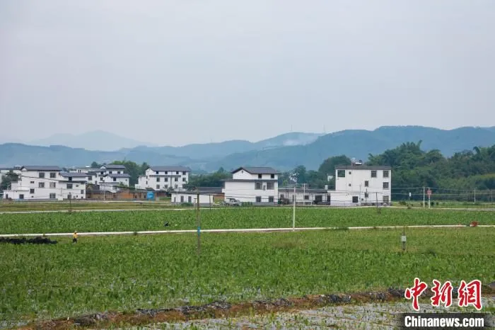 图为广西贺州炭冲村马鞍寨。　王伟臣 摄