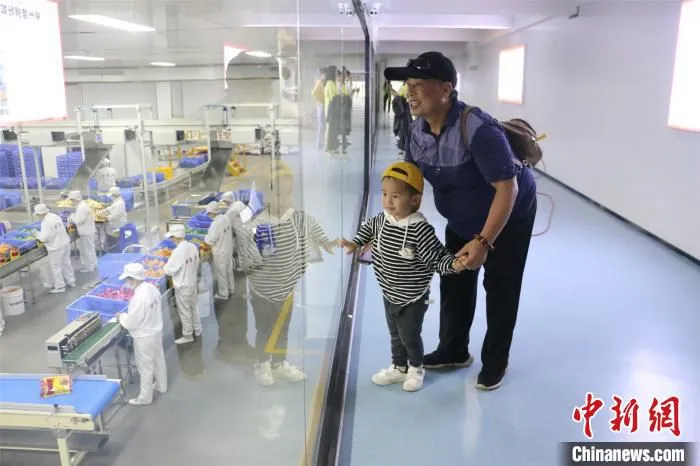 游客参观螺蛳粉生产线。　林馨 摄