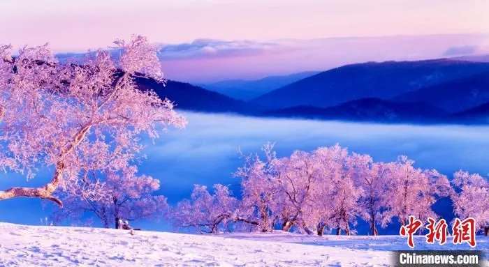 雪国雾凇 黑龙江文旅局供图