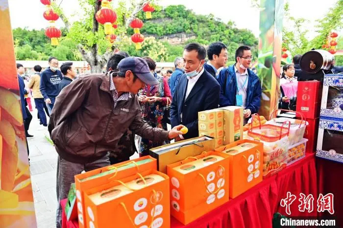 全国各地的客商代表在夷陵共品美果共谋合作 刘康 摄