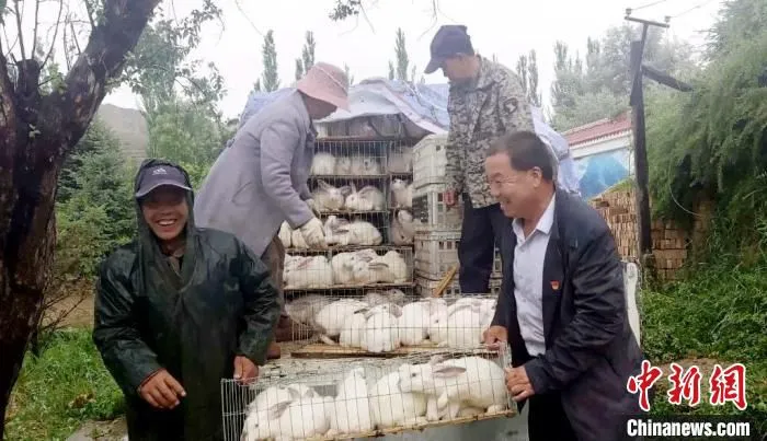 图为藏兔出栏村民们喜笑颜开。(资料图) 受访者供图