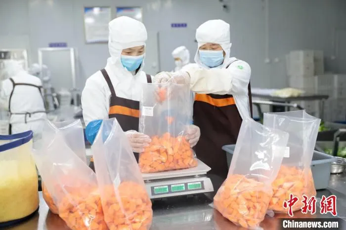 图为在合作社净菜加工车间，工作人员对加工好的蔬菜进行称重打包。　宋敏涛 摄