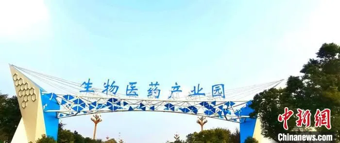 睢宁经济开发区(金城街道)生物医药产业园。　顾士刚 摄