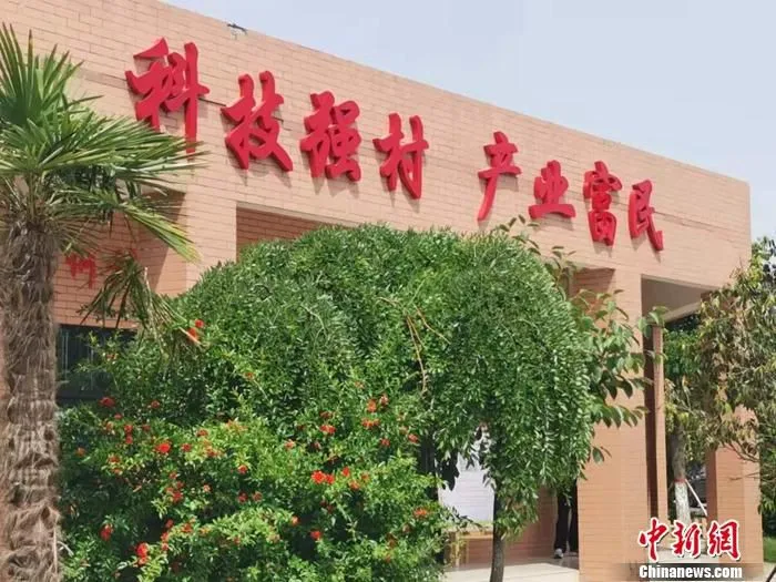 图为何村“科技强村 产业富民”的标语。 中新网记者 谢艺观 摄