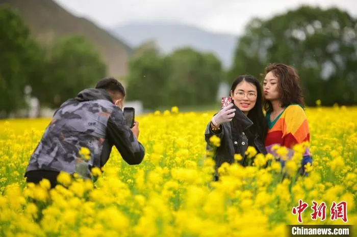 图为游客在油菜花海里拍照留念。　贡嘎来松 摄