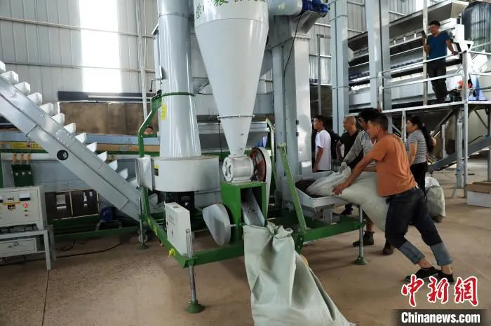 盐源县东顺花椒合作社内，新购入的设备正有效运行。　王磊 摄