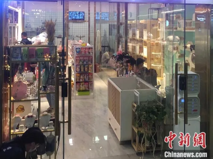 北京市一家宠物店。 中新网 左宇坤 摄
