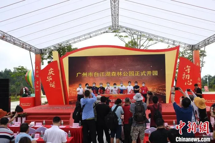 广州市白江湖森林公园正式开园。　陈楚红 摄