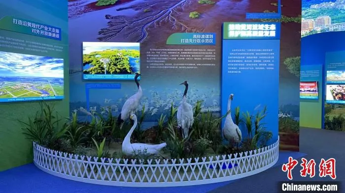 展览通过图片、视频、场景还原、实物展示等多种形式，多角度展示山东全面建成小康社会的奋斗历程。　孙婷婷 摄