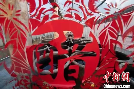 山西老陈醋集团的酿造车间。　韦亮 摄