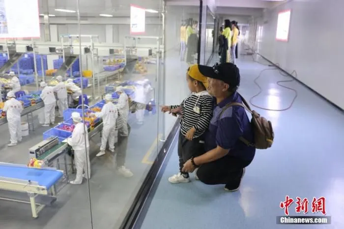 图为游客走进广西柳州市螺蛳粉企业参观螺蛳粉生产线。(资料照片) 中新社发 林馨 摄