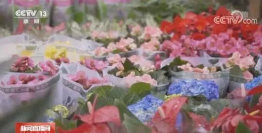 假期消费市场观察 | 两节至 年味浓 鲜花扮靓城乡生活