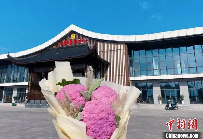 由彩色西兰花包成的花束 黄俊皓 供图