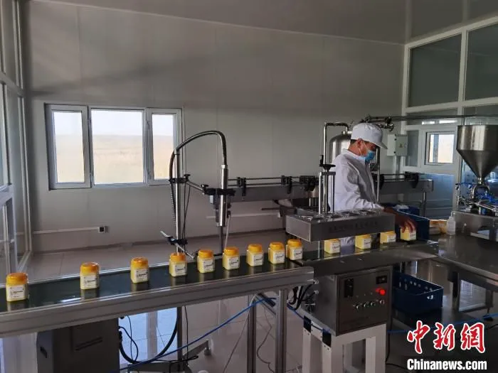 图为在贷庆的奶食品加工厂，一瓶瓶黄油正在生产线上移动。　贷庆 摄