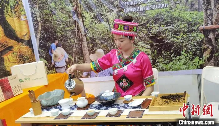 4月23日，身穿民族服饰的少女展示古树龙脊茶的泡制流程。　蒋丰慧 摄