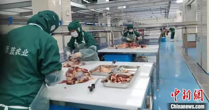 当雄县高原蓝农业发展有限公司加工车间。　杨顺超 摄