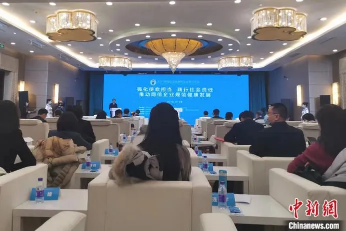 2021网信企业发展和社会责任论坛。 中新网记者 谢艺观 摄