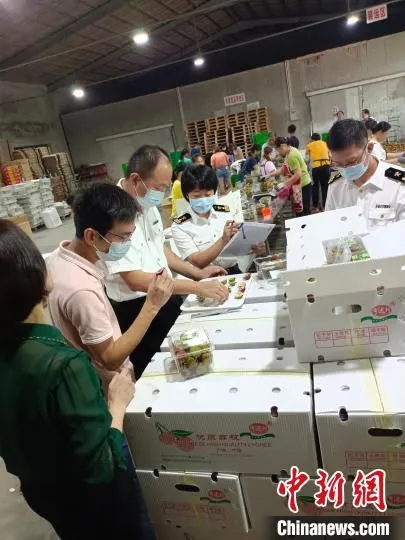 图为惠州出口荔枝。　惠州市农业农村局供图