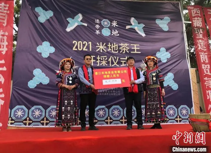 3月28日，云南墨江米地贡茶园将竞拍所得28万元人民币捐赠给墨江县红十字会。　刘丽慧 摄