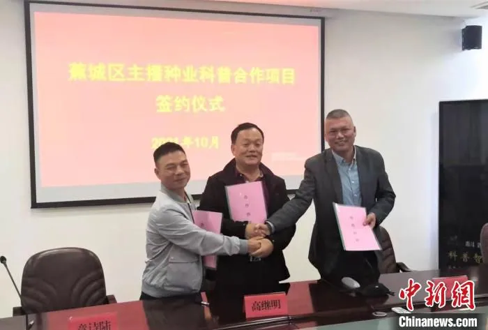 图为签订《蕉城区主播种业科普合作项目》。　宁德市科协 供图