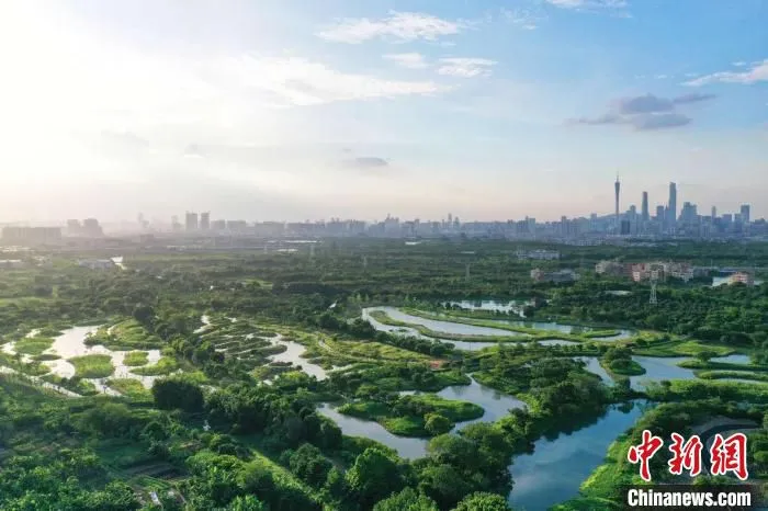 广州市内的湿地公园(资料图)广州市文化广电旅游局供图 广州市文化广电旅游局供图 摄