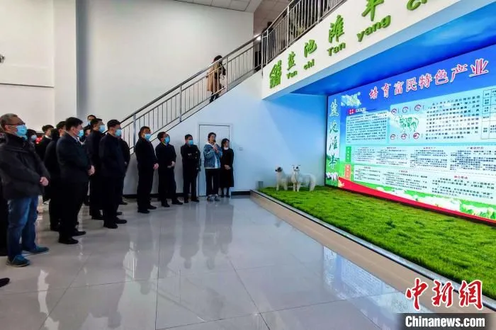 观摩团在盐池县滩羊产业发展集团有限公司进行观摩。　姚淑玲 摄