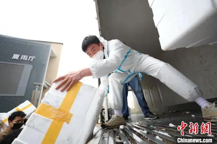 华东师大师生足不出户，吃上了寻甸“田头直采”“专车直运”的优质蔬菜。　华东师大供图