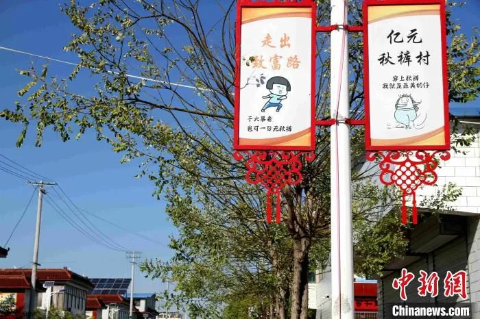 “秋裤村”道路两旁的路灯杆上，印制了秋裤的搞笑段子。　孙婷婷 摄
