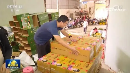 广东搭建市场体系 助推特色农产品优质优价