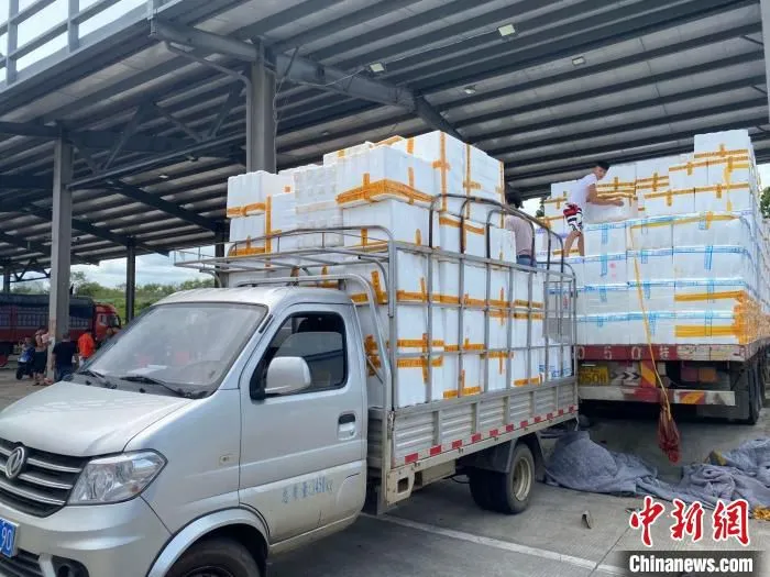 海口市菜篮子江楠农产品批发市场内菜贩抓紧运送蔬菜。　符宇群 摄