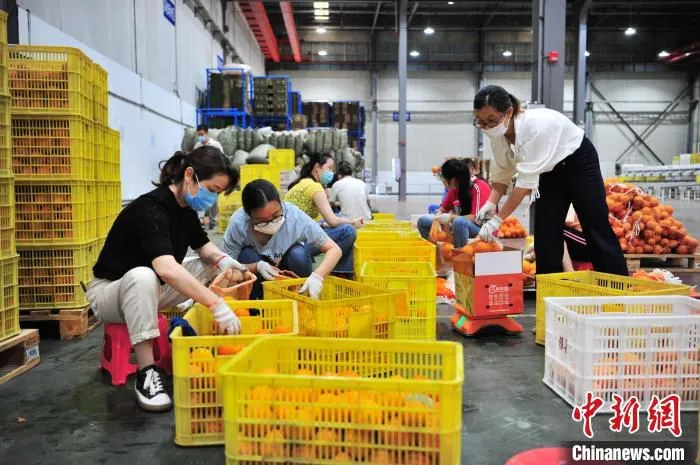 夷陵电商对农副产品进行加工、包装、推广、销售。　张国荣 摄