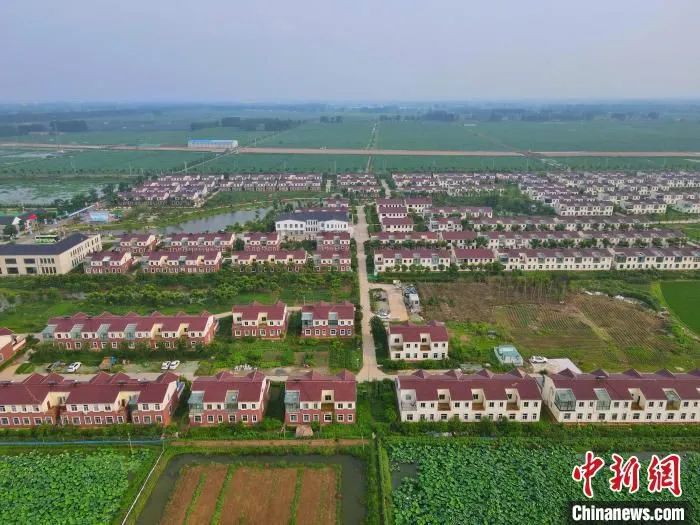 航拍振友社区，周边全是莲藕基地。　振友社区供图