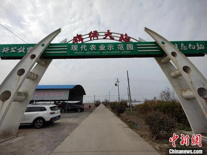 位于江苏盐城大丰区白驹镇的锦绣大地现代农业示范园。　谷华 摄