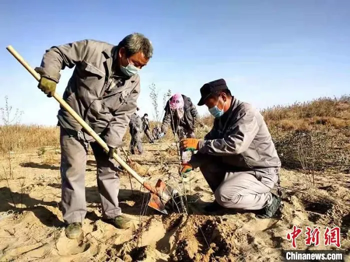 中泰纺织科技有限公司员工在湿地种植树苗。(资料图) 李桃 摄