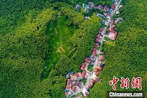 俯瞰长兴县煤山镇五通山村 煤山镇 供图