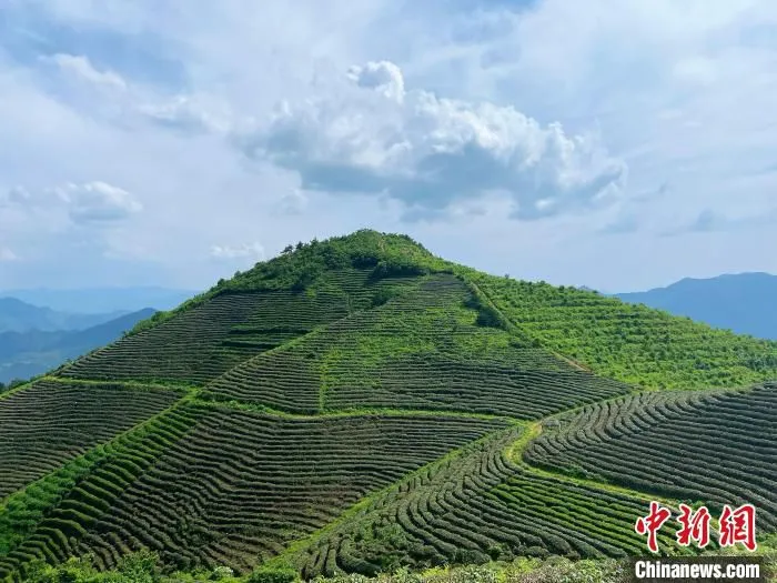 猛峰尖一景。　林波 摄