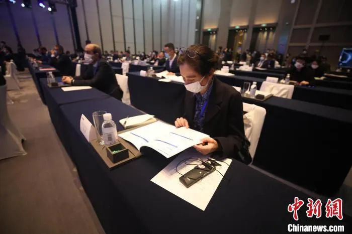 来自中国和欧洲的数十位知名企业家、专家学者与会。　胡耀杰 摄
