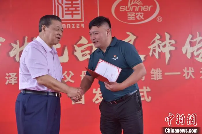 6月10日，圣农集团董事长傅光明为河北玖兴农牧发展有限公司等多家养殖企业颁发引种证明。　张丽君 摄