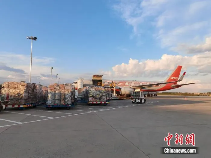 货机在装载货物。哈尔滨市商务局供图