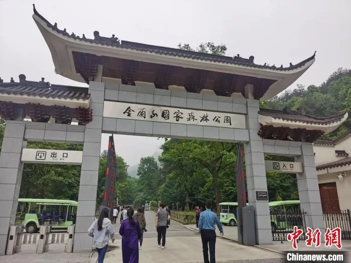 新县金兰山国家森林公园。(资料图) 刘鹏 摄 摄