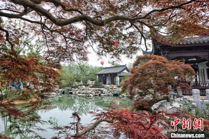 移步换景的园艺，让人无不感叹中式园艺的精妙。　泱波 摄