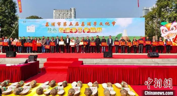12月18日，荔浦芋王争霸赛颁奖现场。　杨宗盛 摄