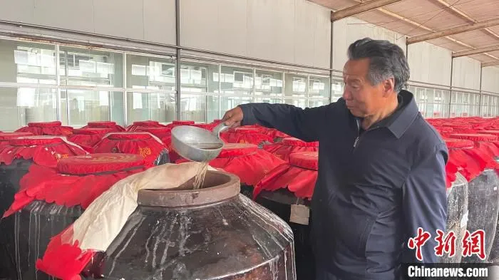 “代县黄酒酿造技艺”传承人李全锁展示正在发酵中的代县黄酒。　王斌田 摄