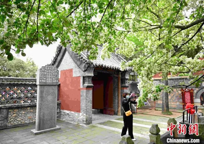 资料图：山东泰山王母池4月14日恢复开放。　刘春莲 摄