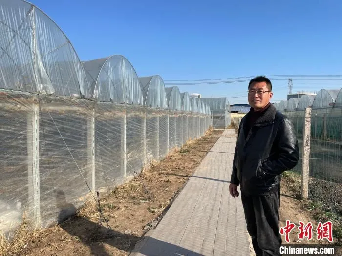 葡萄种植大户周艳辉站在连栋避雨棚前，这些大棚铺设了水肥一体化滴灌微喷设备。　高红超 摄