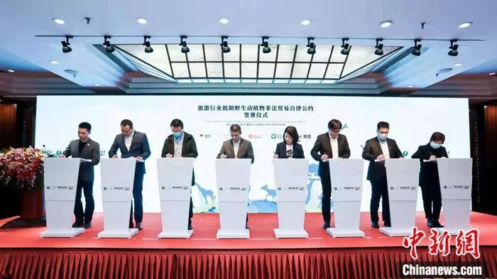 “旅游行业抵制非法野生动植物非法贸易自律公约倡议活动”在北京举行。世界旅游联盟和中国野生动物保护协会联合发布了《旅游行业抵制野生动植物非法交易自律公约》。主办方供图